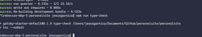 npm run type-check example